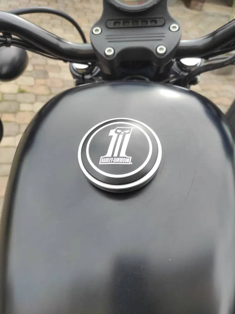 Harley-Davidson 883 Iron (2009 - 11) - XL 883N (6)
