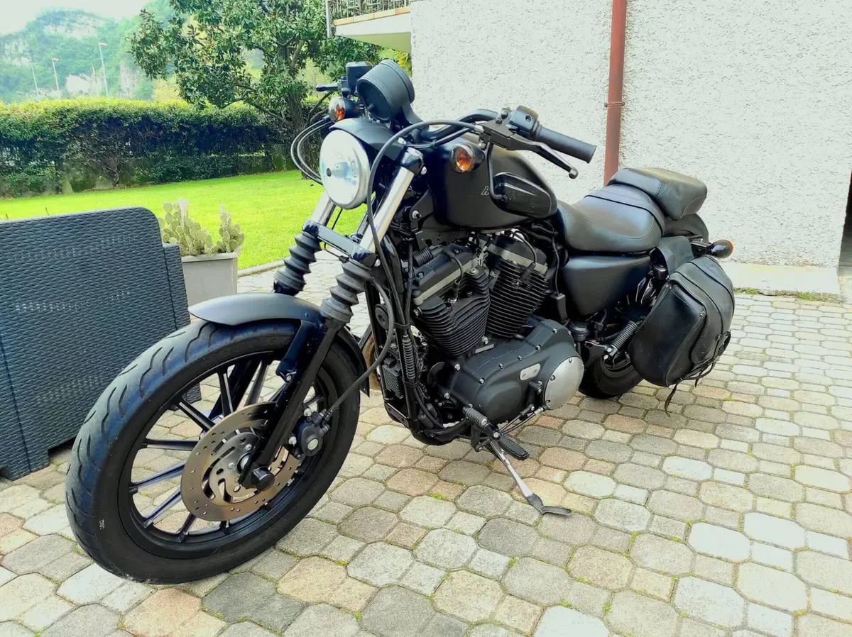 Harley-Davidson 883 Iron (2009 - 11) - XL 883N