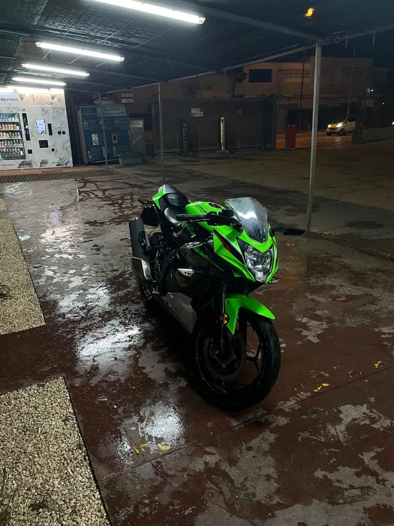 Kawasaki Ninja 125 Performance (2021 - 24)