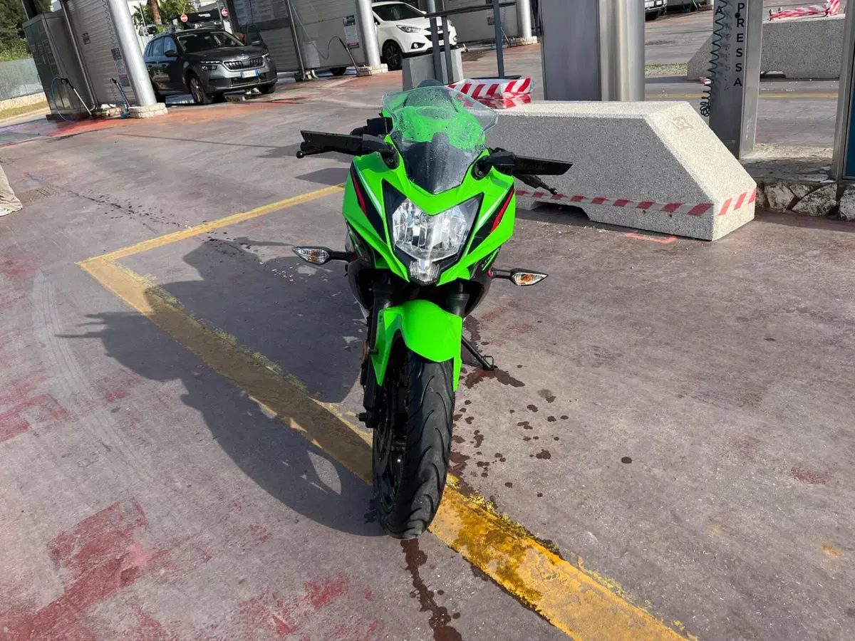 Kawasaki Ninja 125 Performance (2021 - 24) (2)