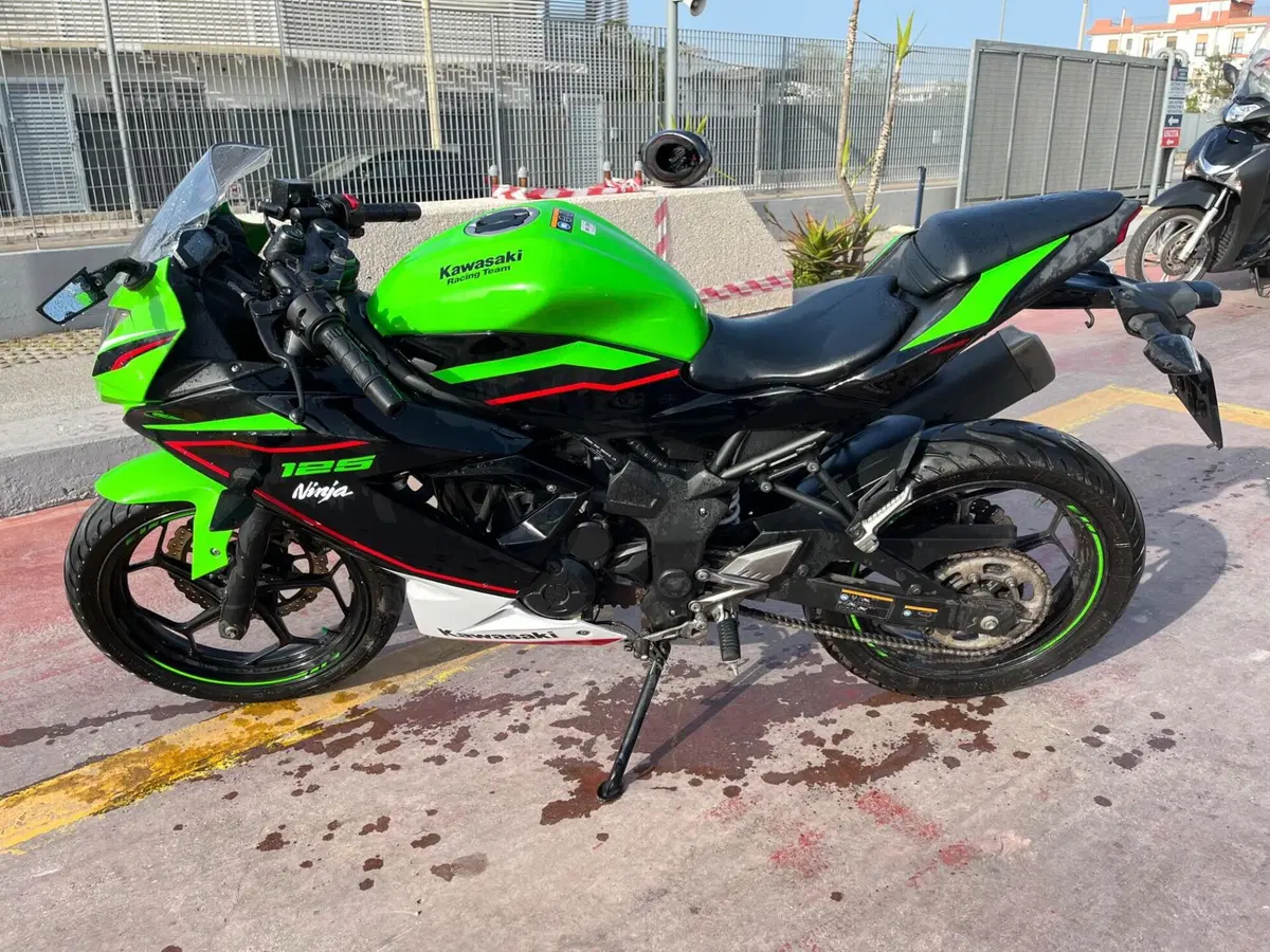 Kawasaki Ninja 125 Performance (2021 - 24) (3)