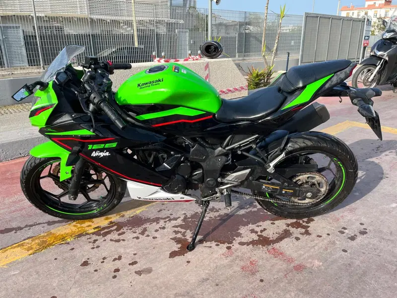 Kawasaki Ninja 125 Performance (2021 - 24) (3)