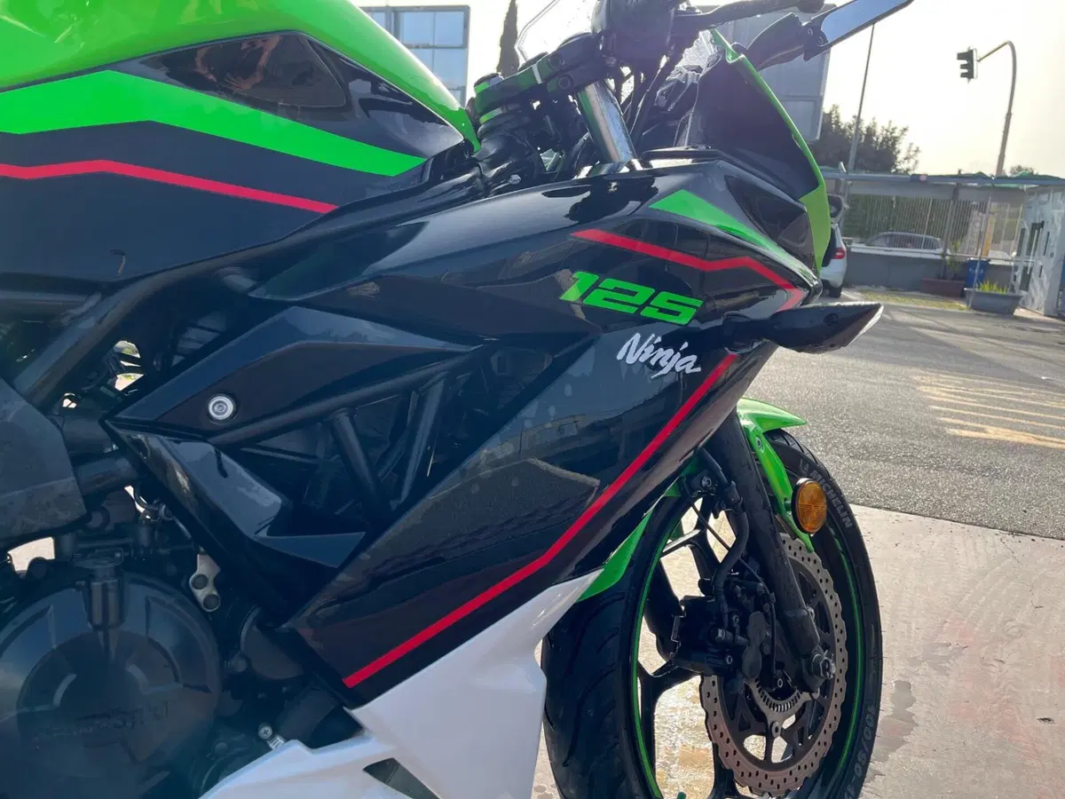 Kawasaki Ninja 125 Performance (2021 - 24) (5)