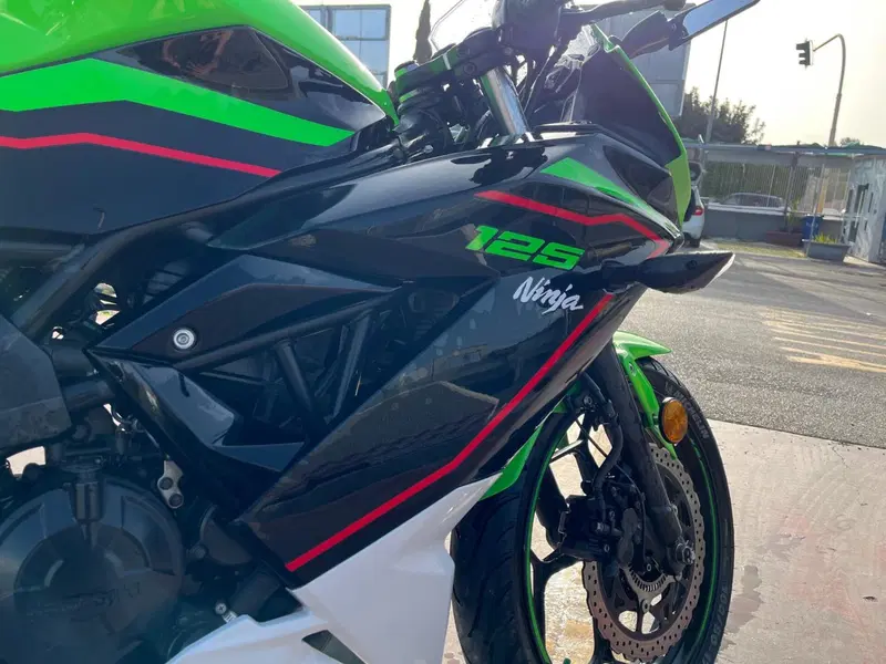 Kawasaki Ninja 125 Performance (2021 - 24) (5)