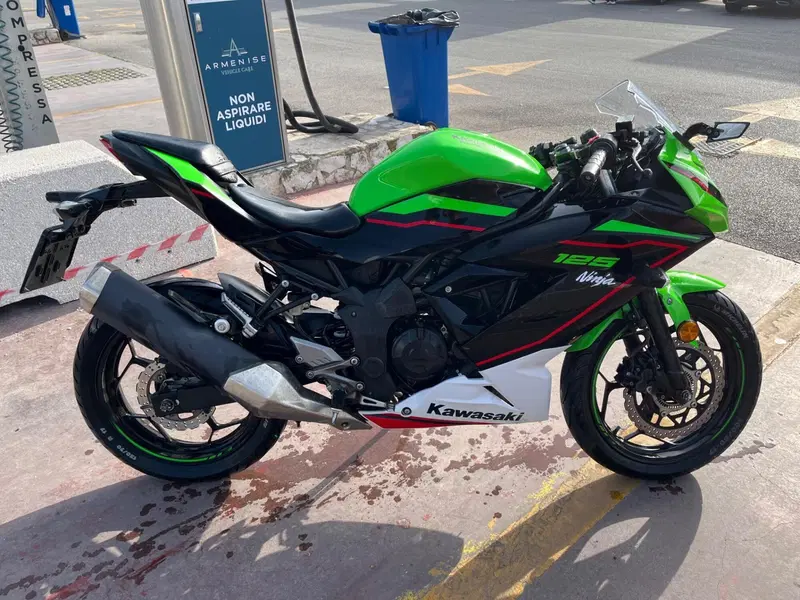 Kawasaki Ninja 125 Performance (2021 - 24) (8)
