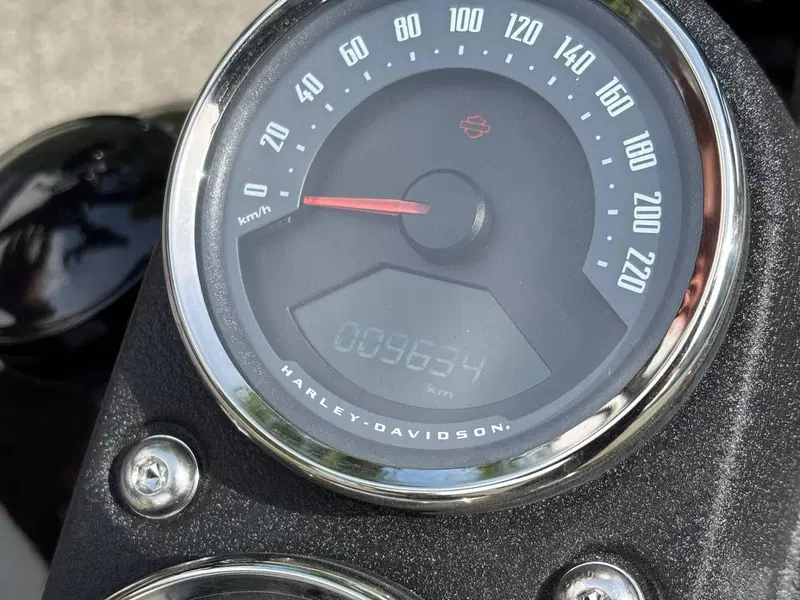 Harley-Davidson 114 Low Rider S (2021) - FXLRS (3)