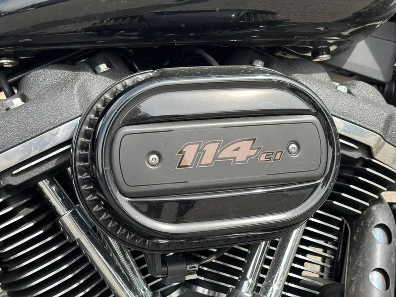 Harley-Davidson 114 Low Rider S (2021) - FXLRS (10)