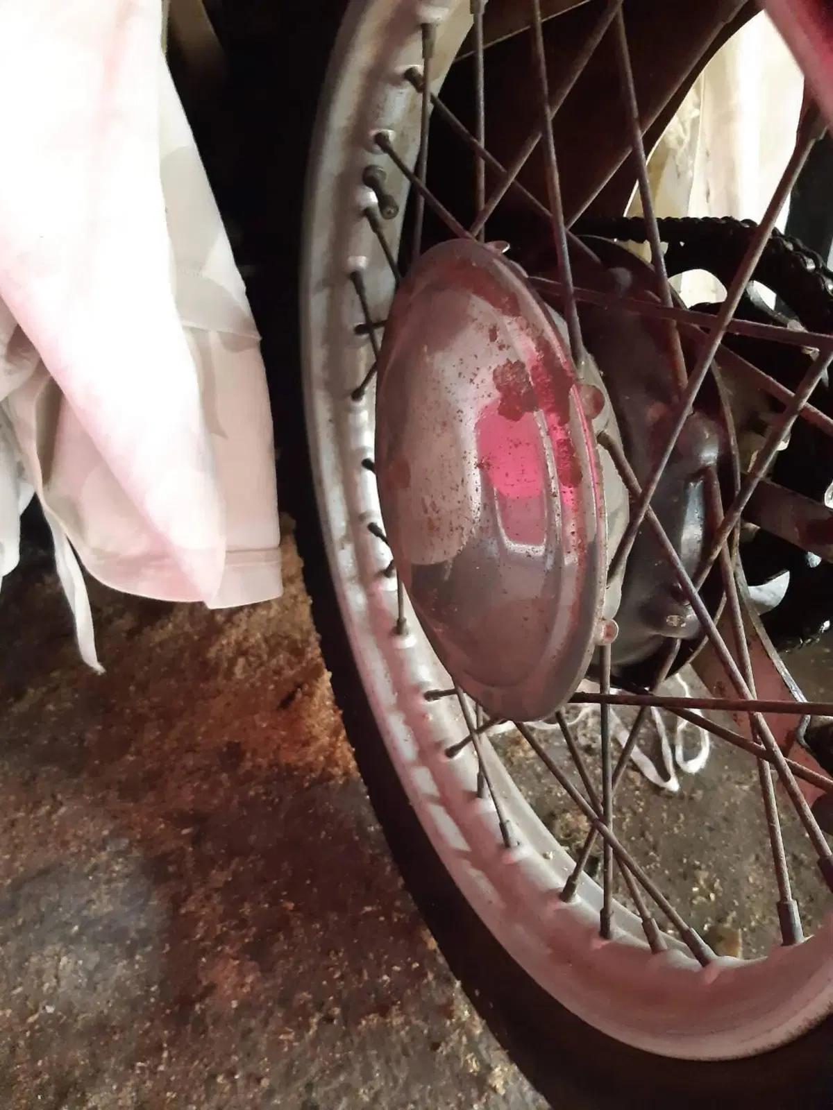 Moto Guzzi Galletto 192  AE  (7)