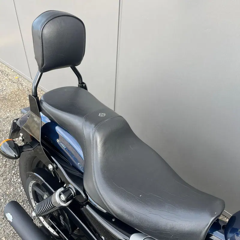 Harley-Davidson 883 Iron (2012 - 14) - XL 883N (11)