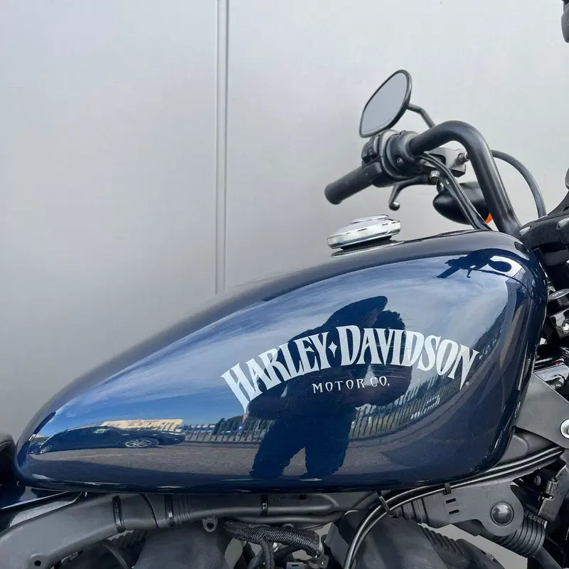 Harley-Davidson 883 Iron (2012 - 14) - XL 883N (6)