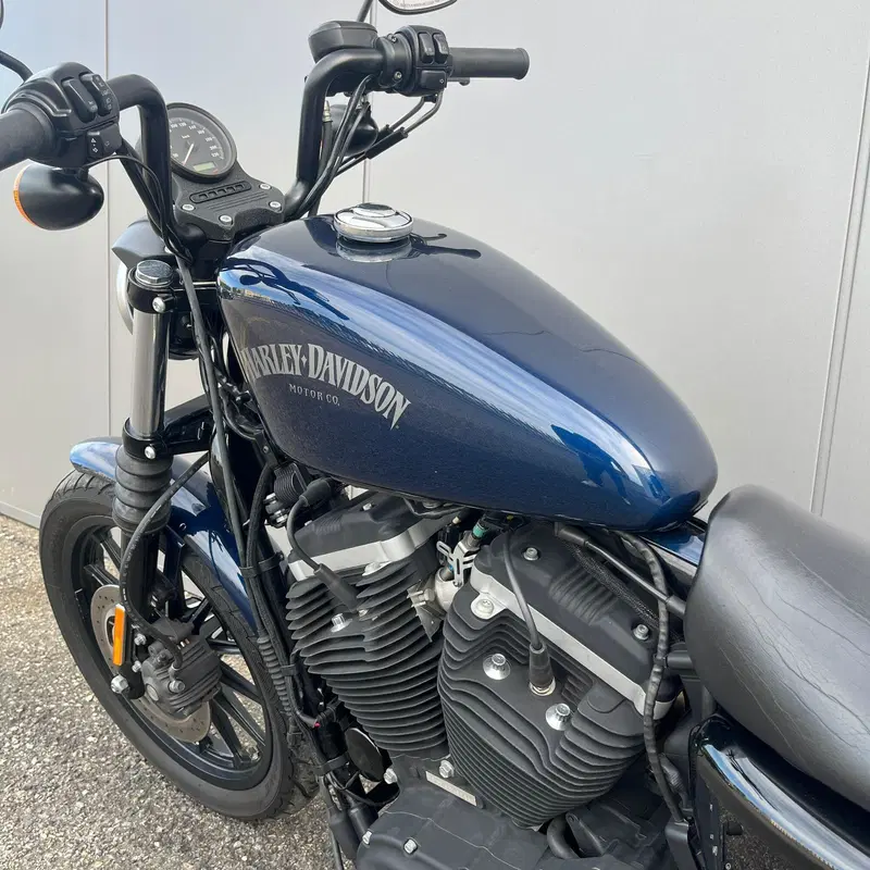 Harley-Davidson 883 Iron (2012 - 14) - XL 883N (24)
