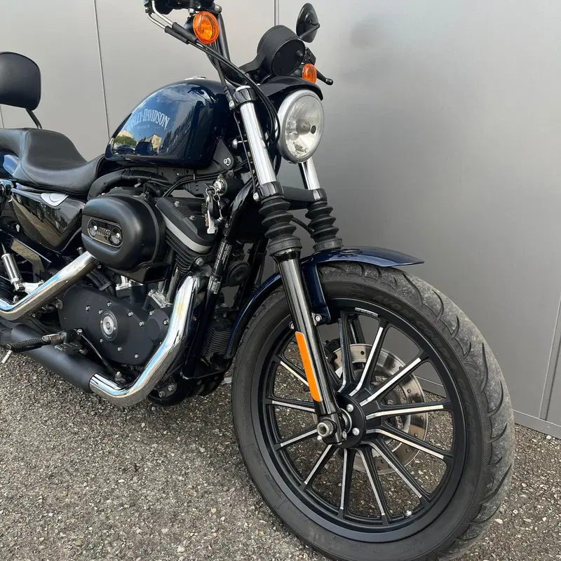 Harley-Davidson 883 Iron (2012 - 14) - XL 883N (4)