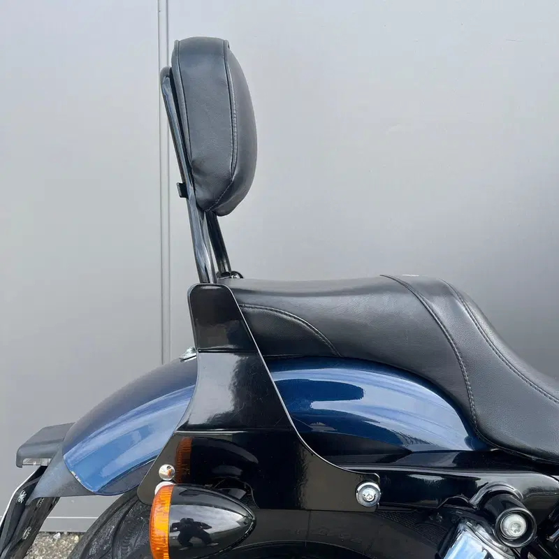 Harley-Davidson 883 Iron (2012 - 14) - XL 883N (10)