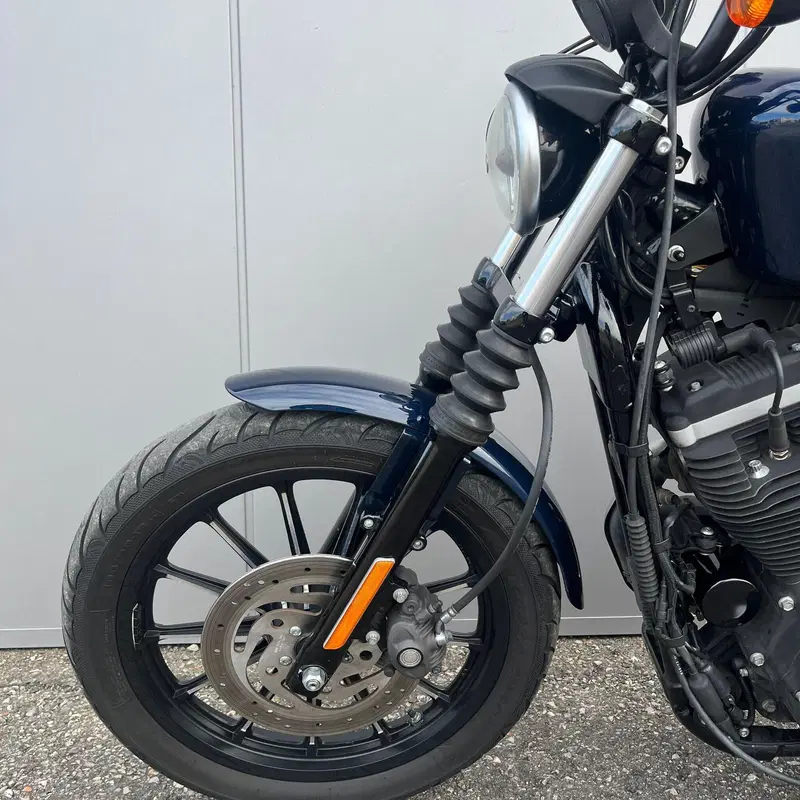 Harley-Davidson 883 Iron (2012 - 14) - XL 883N (15)