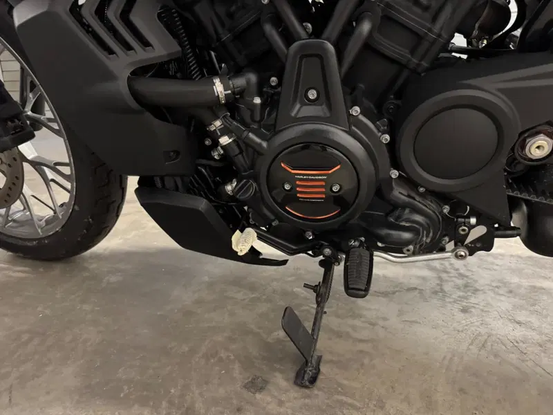 Harley-Davidson Nightster Special (2023 - 26) (5)
