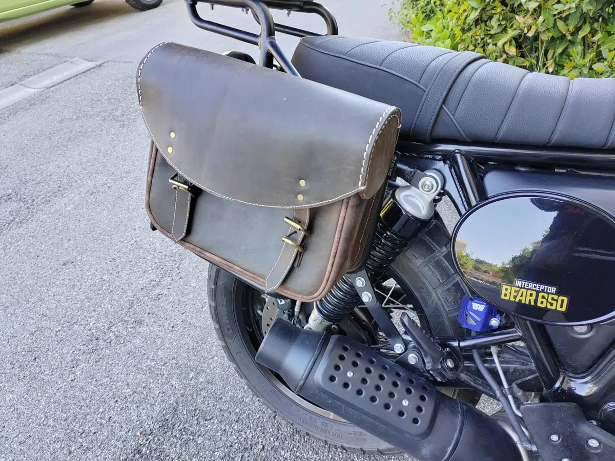 Royal Enfield Bear 650 (2025 - 26) (5)
