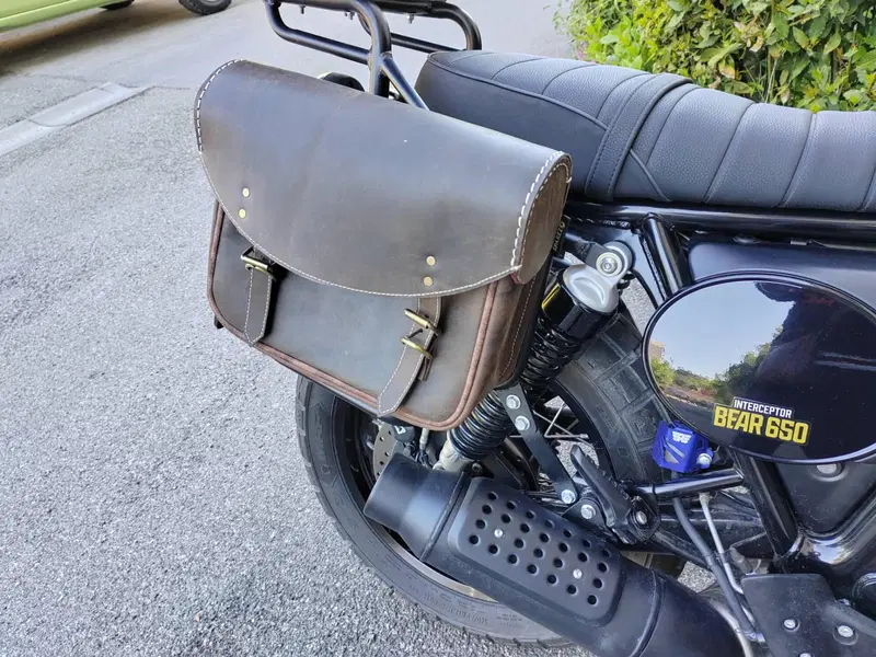 Royal Enfield Bear 650 (2025 - 26) (5)