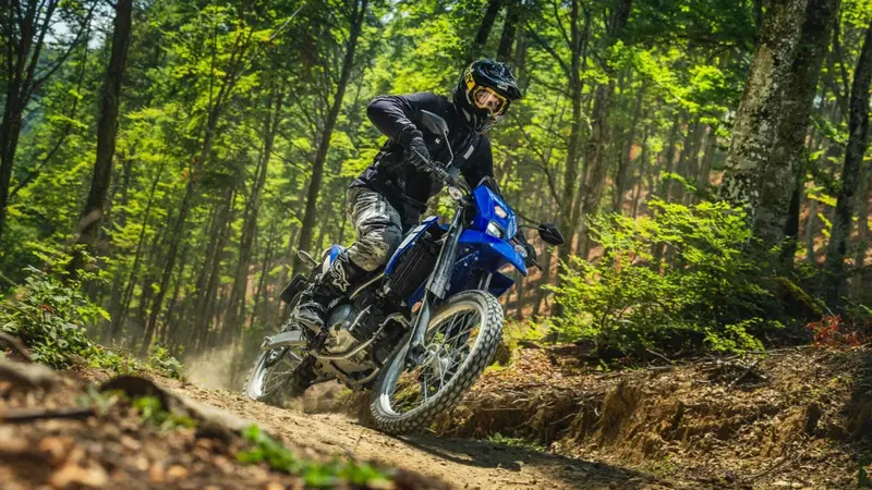 Yamaha WR 125 R (2026) (8)