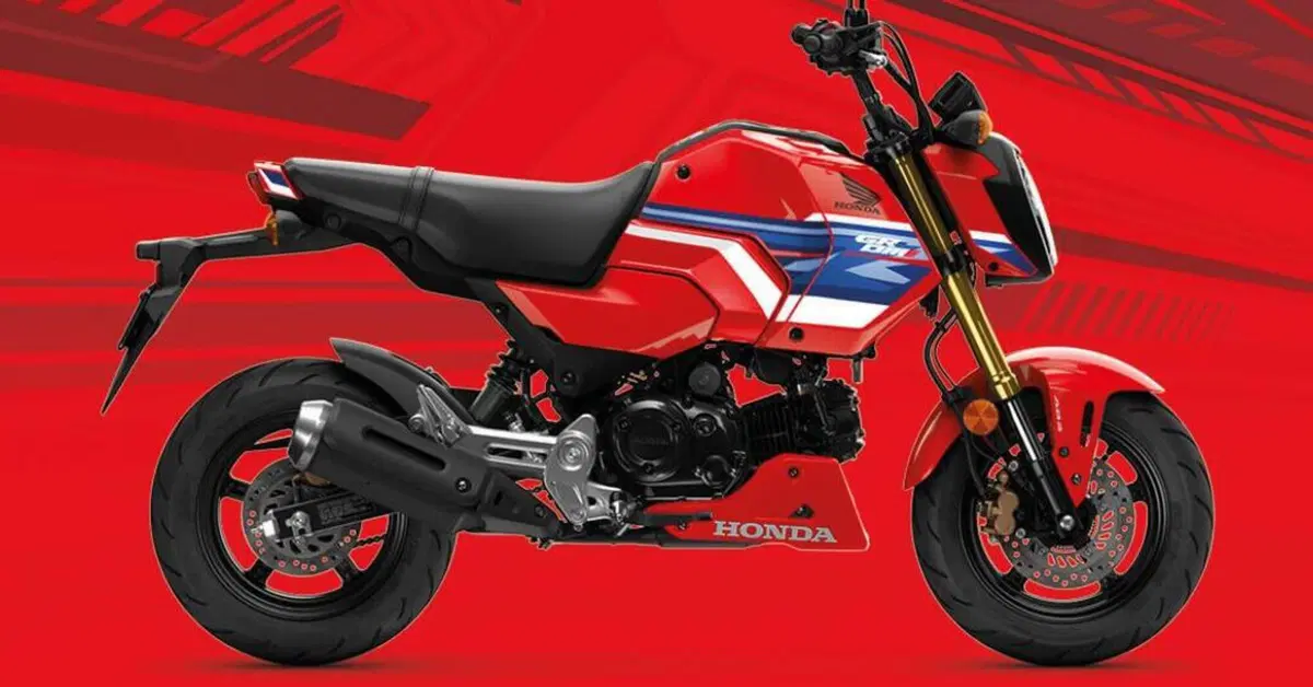 Honda GROM 2026: nuova colorazione per la MSX125 pensata per il paddock, piace per l&rsquo;uso urbano
