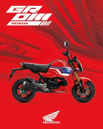 Honda GROM 2026: nuova colorazione per la MSX125 pensata per il paddock, piace per l&rsquo;uso urbano