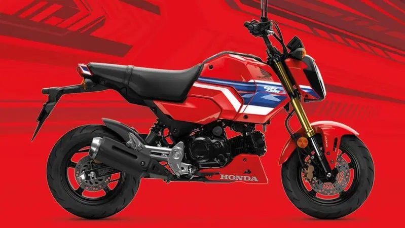 Honda GROM 2026: nuova colorazione per la MSX125 pensata per il paddock, piace per l&rsquo;uso urbano