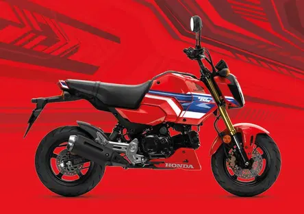 Honda GROM 2026: nuova colorazione per la MSX125 pensata per il paddock, piace per l’uso urbano