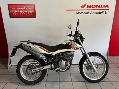 Betamotor Alp 4.0 (2008 - 17) usata