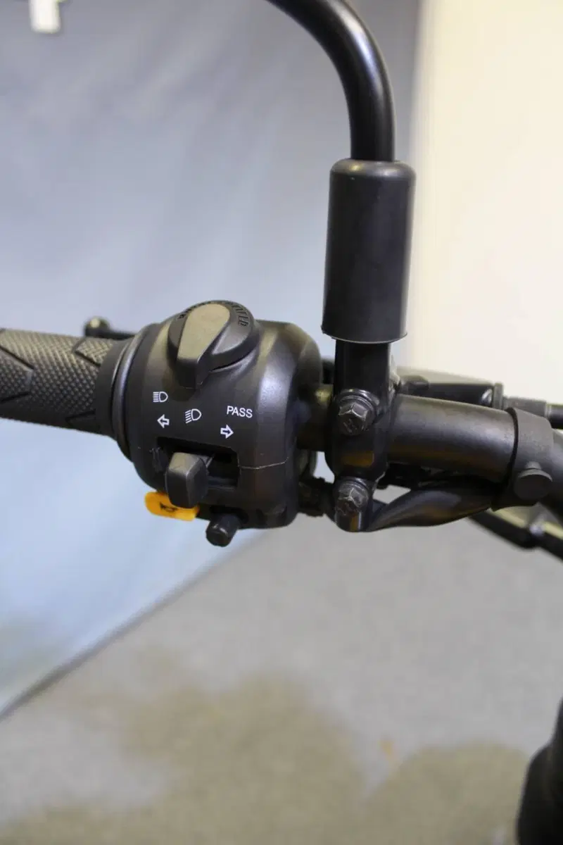 Royal Enfield Guerrilla 450 (2024 - 26) (10)