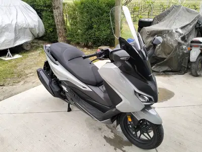 Honda Forza 350 Deluxe (2022 - 24) usata