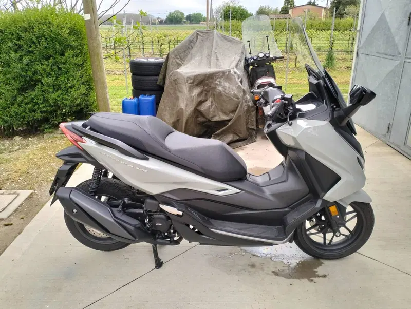 Honda Forza 350 Deluxe (2022 - 24) (2)