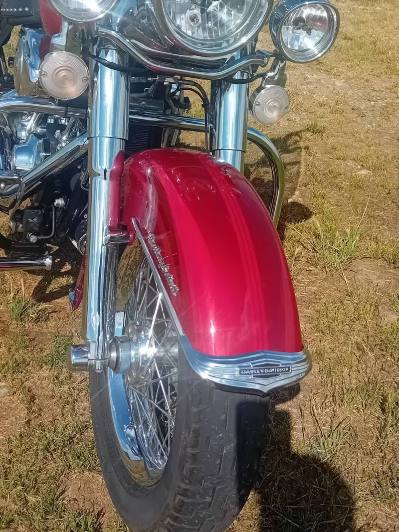Harley-Davidson 1584 Heritage Classic (2008 - 10) - FLSTC (2)