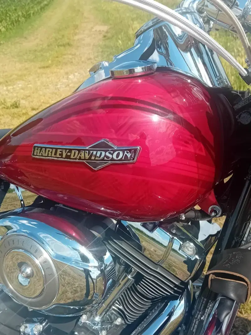Harley-Davidson 1584 Heritage Classic (2008 - 10) - FLSTC (3)