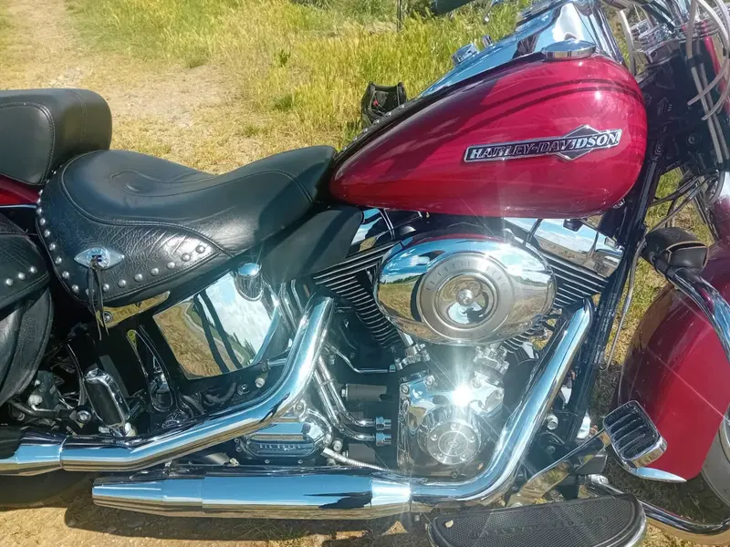 Harley-Davidson 1584 Heritage Classic (2008 - 10) - FLSTC (4)