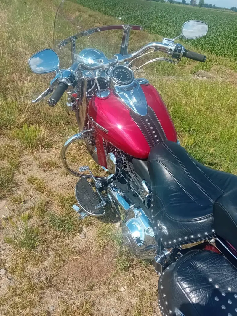 Harley-Davidson 1584 Heritage Classic (2008 - 10) - FLSTC (6)