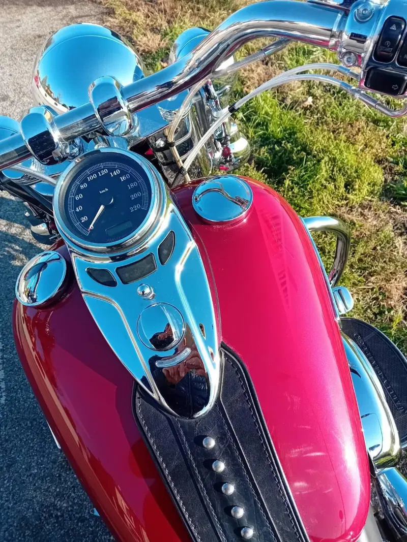 Harley-Davidson 1584 Heritage Classic (2008 - 10) - FLSTC (9)