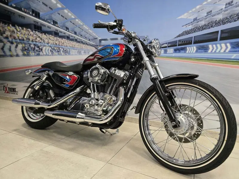 Harley-Davidson 1200 Custom (2004 - 06) - XL 1200C (2)