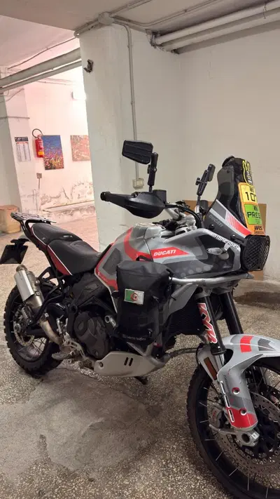 Ducati DesertX (2022 - 25) usata