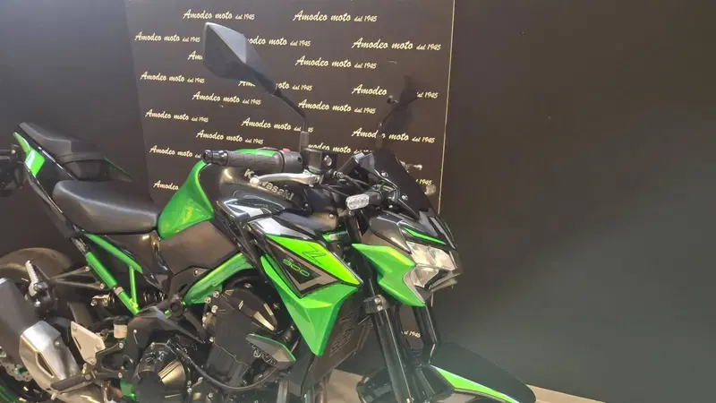 Kawasaki Z 900 (2021 - 24) (2)
