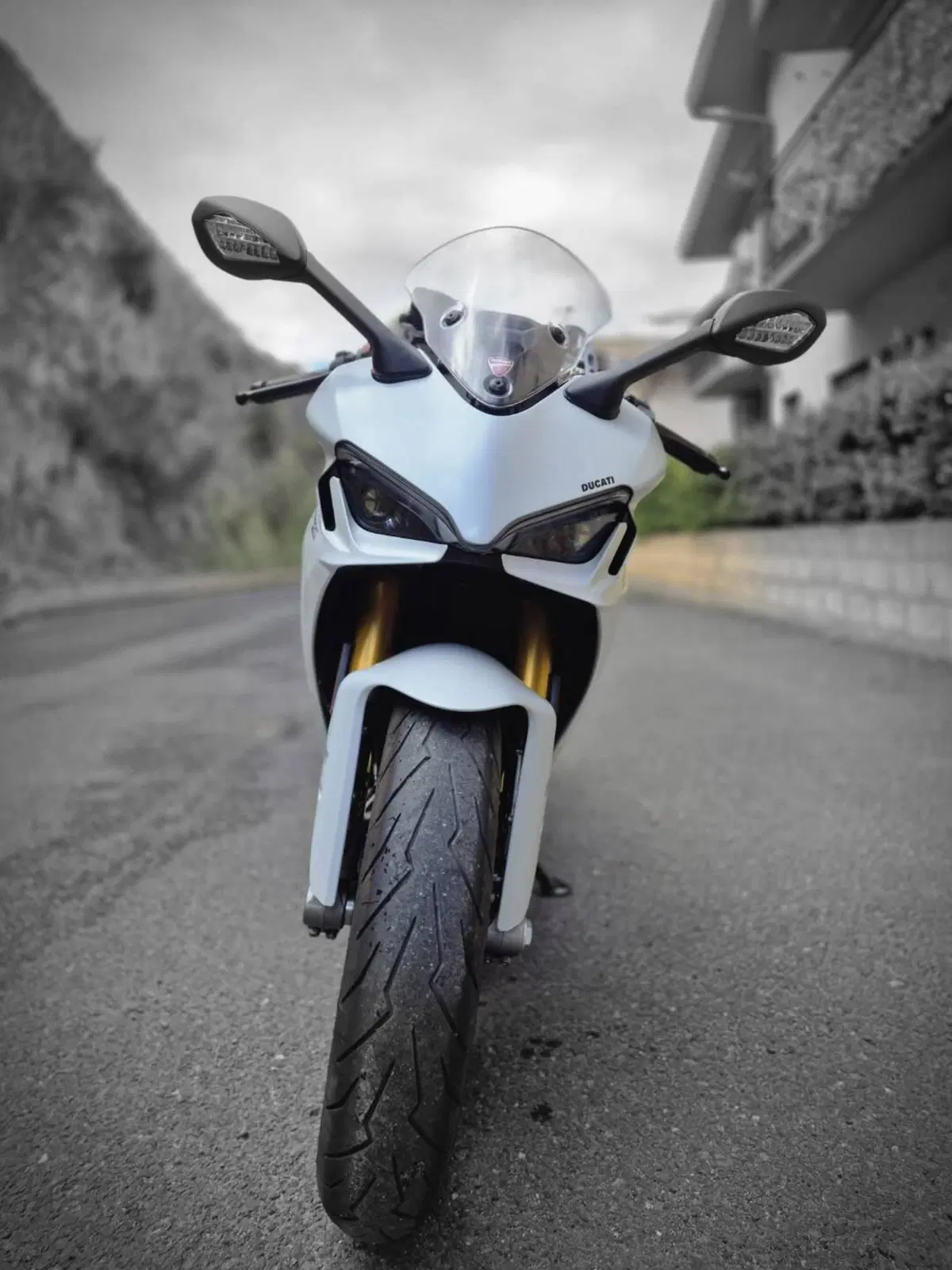 Ducati SuperSport 950 S (2021 - 24) (2)