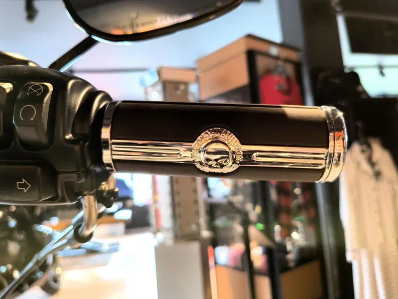 Harley-Davidson Low Rider ST (2022 - 24) (8)