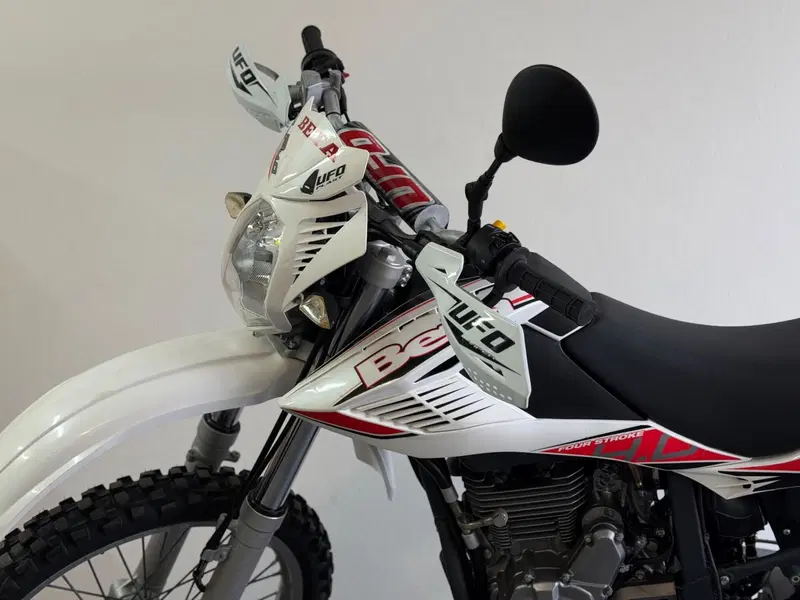 Betamotor Alp 4.0 (2008 - 17) (3)