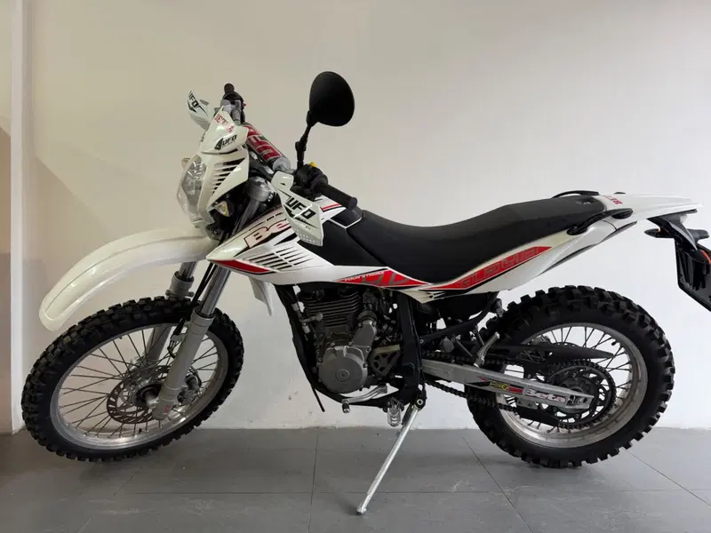 Betamotor Alp 4.0 (2008 - 17) (2)