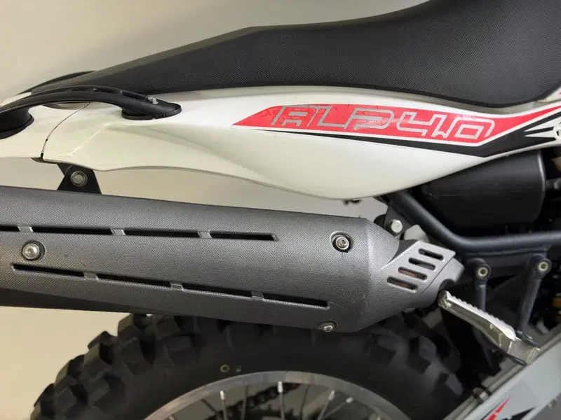 Betamotor Alp 4.0 (2008 - 17) (8)