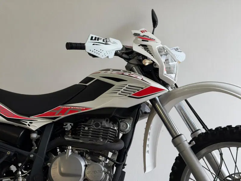 Betamotor Alp 4.0 (2008 - 17) (9)
