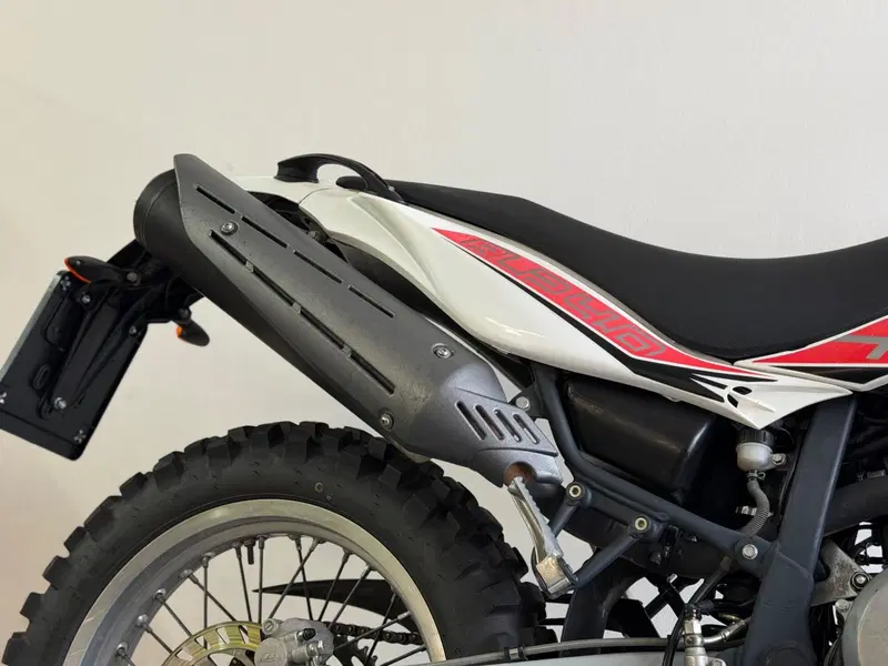 Betamotor Alp 4.0 (2008 - 17) (10)
