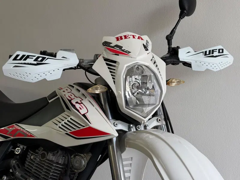 Betamotor Alp 4.0 (2008 - 17) (12)