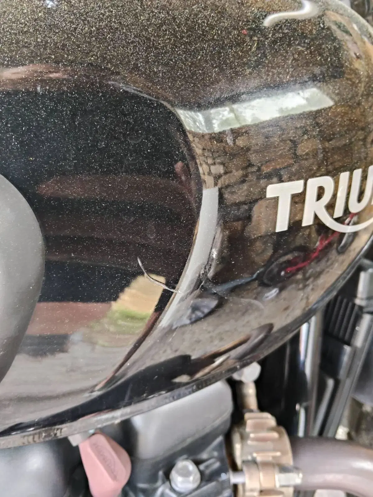 Triumph Street Scrambler 900 (2017 - 18) (6)