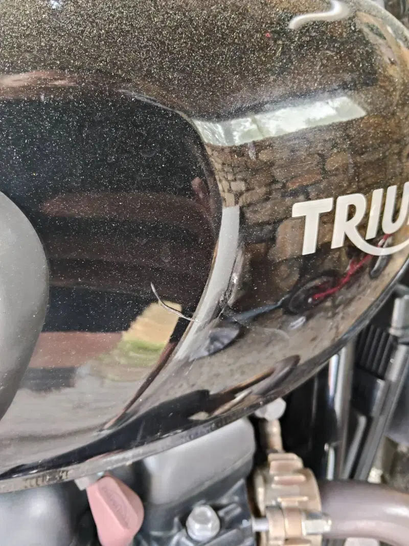 Triumph Street Scrambler 900 (2017 - 18) (6)