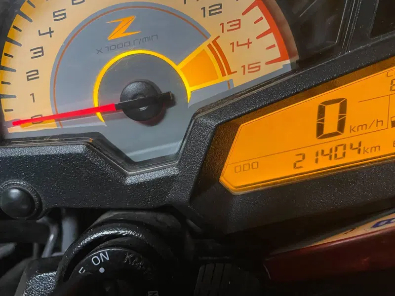 Kawasaki Z 300 ABS (2015 - 16) (4)