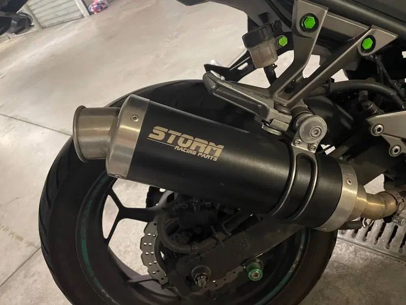 Kawasaki Z 300 ABS (2015 - 16) (6)